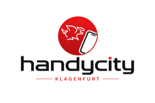 Handycity Logo